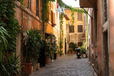 Saksı bitkileri olan bir binanın duvarı. Panjurlarla büyüleyici bir görünüş. Asfalt kaldırım