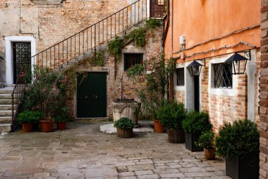 Saksı bitkileri olan bir binanın duvarı. Çekici bir görünüş. Asfalt kaldırım