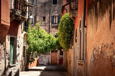 Venedik 'te saksı bitkileri olan binalar. Panjurlarla büyüleyici bir görünüş. Asfalt kaldırım