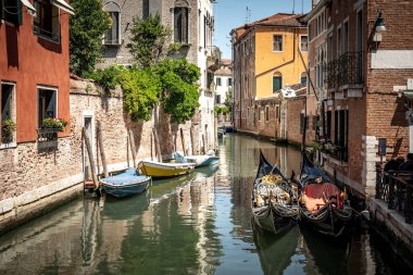 Köprüsü olan manzara kanalı ve Venedik, İtalya 'da saksı bitkileri olan eski binalar.