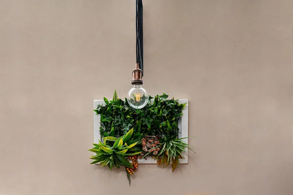 plants in the frame as a decoration hanging on a wall with light bulb in a room