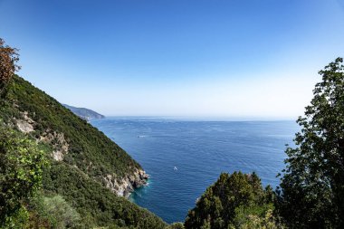 İtalya 'daki Cinque Terre Ulusal Parkı. İtalyan sahillerinde ağaçlarla kaplı tepelerde yürüyüş.