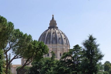 Aziz Peter Bazilika Kubbesi Roma, İtalya 'da ağaçlar arasında görünüyor..