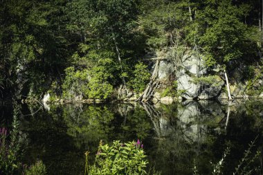 Ağaçlarla kaplı ve durgun sulara yansıyan huzur dolu bir yer.