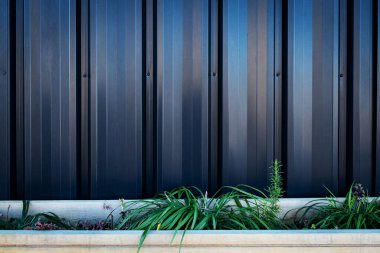 Oluklu metal duvarlara karşı saksı bitkileri.