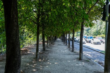 Milan, İtalya - 10 Ağustos 2023: Meşgul caddenin yanındaki sıra sıra ağaçlarla dolu sokak