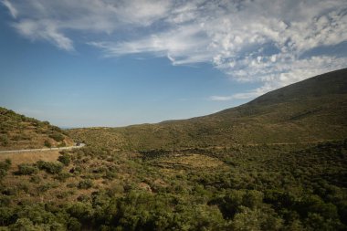 Çalı ve ağaçlarla kaplı dağ ve vadi manzarası