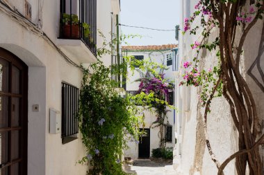 Cadaques, İspanya 'nın büyüleyici semtindeki beyaz binalardan dökülen canlı mor çiçekler.