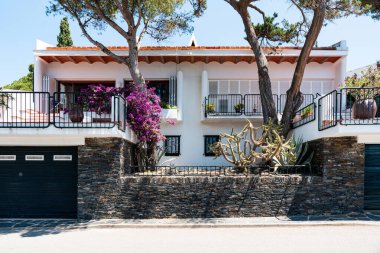 Cadaques, İspanya 'nın büyüleyici semtindeki beyaz binalardan dökülen canlı mor çiçekler.