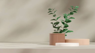 Yeşil bitki ve duvar 3D görüntüsü olan beyaz yuvarlak podyum sahnesi