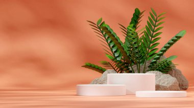 Yeşil zamia, kayalar ve turuncu duvardaki beyaz silindir podyumun boş bir kopyası.