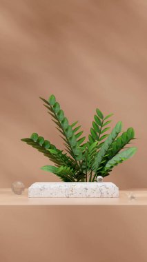 Portrede mermer levha podyumu zamia ev bitkisi arka planda 3B modelleme şablonu