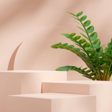 Kare yeşil zamia bitkisi ve kemer 3D modelleme şablonu ile basit bir hafif krem podyumu