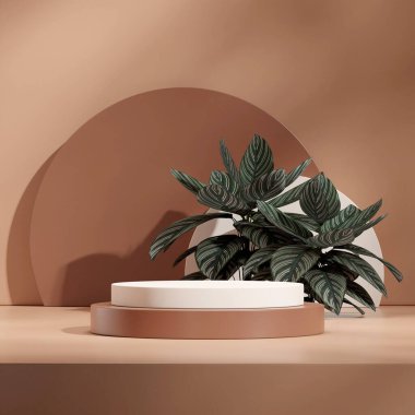 Kare calathea pembe şeritli, 3D görüntüleme sahnesi mockup beyaz silindir podyum