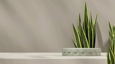 3D modelleme şablonu yeşil seramik desen podyumu peyzaj sansevieria ve yeşil duvar