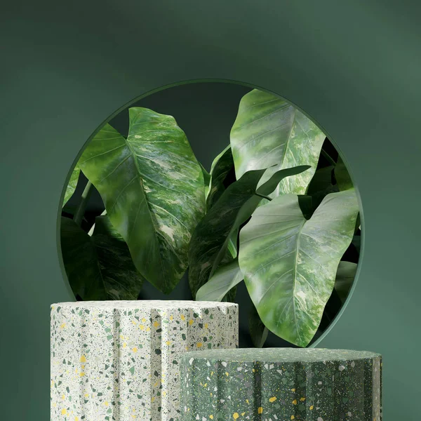 stock image in square green wall and alocasia plant, rendering 3d empty space green terrazzo textured podium