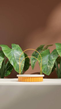 Kemer ve yeşil kaladyum yapraklı ev bitkisi, portrede boş sahte sarı podyum.