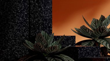 Calathea bitkisi ve turuncu duvar, 3D görüntü şablonu, manzaradaki siyah mermer podyum.
