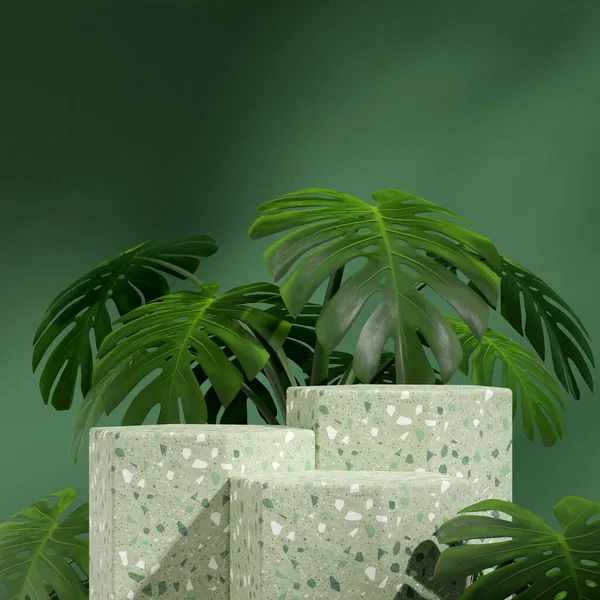 正方形のモンスターの葉の家の植物では 3D画像は空のスペースをレンダリングします緑テラッツォテクスチャ表彰台 — ストック写真