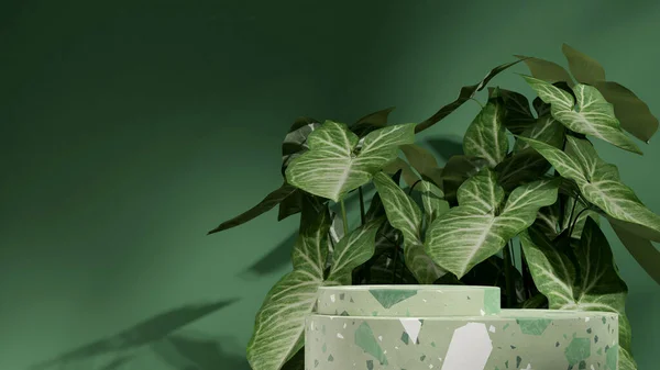 Peyzaj Sengonyum Yaprak Fabrikasında Boş Model Yeşil Terrazzo Silindir Podyumu — Stok fotoğraf