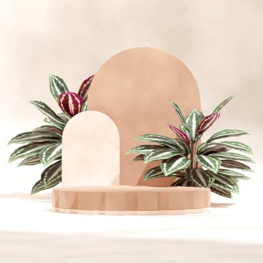 Kare yeşil calathea evbitkisiyle kahverengi podyum, 3D boş modelleme