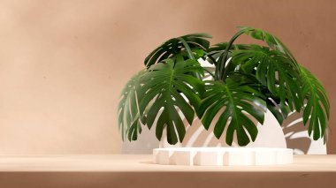 beyaz silindir podyum peyzaj yeşil yaprak canavarı bitki, 3D görüntü boş boşluk