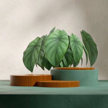 Kare ev bitkilerinde ahşap ve yeşil renkli silindir podyum ve beyaz duvar, üç boyutlu boş model.