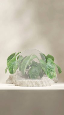 Kaya beyazı podyum portre cam kemer ve yeşil kaladyum, üç boyutlu boş alan