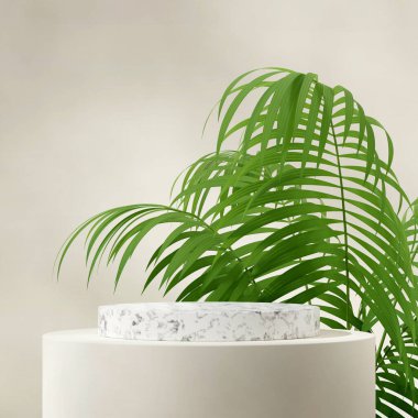 Beyaz mermer silindir podyum kare aracea palmiye bitkisi arka planı, 3d canlandırma sahne şablonu