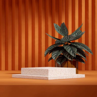 Kare kalathea bitkisi ve kahverengi duvarlı boş kırmızı terrazzo desenli podyum.