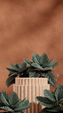 Sahne Mockup kahverengi terrazzo desenli podyum portre yeşil calathea bitki, 3D canlandırma