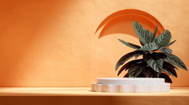beyaz granit malzeme podyumu manzarada kalathea bitkisi ve turuncu kemer, 3D boş modelleme