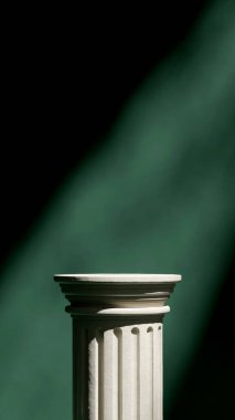 Portre koyu yeşil renkli duvar, 3D canlandırma sahnesi beyaz seramik desenli podyum