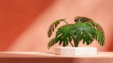Altıgen beyaz terrazzo podyumu manzaralı turuncu duvar ve canavar bitkisi, 3D model şablon.