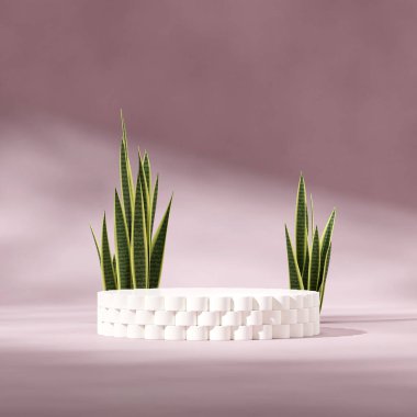 boş mockup beyaz silindir podyum kare sessiz mor duvar ve yeşil bitki, 3D resim oluşturma