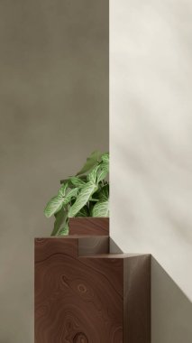 boş alan ahşap desenli podyum portre yeşil yaprak bitkisi, 3D resim oluşturma