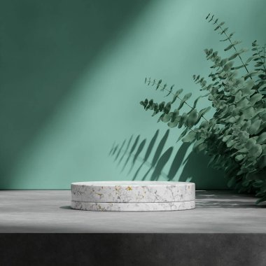 okaliptüs yaprağı ve yeşil duvar, 3d kare şeklinde boş silindir mermer podyum