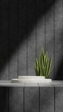 Sansevieria ve beton duvar, portrede 3D şablon bej terrazzo podyumu.