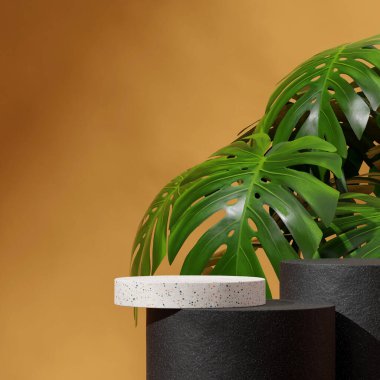 Kare canavar yaprağı ve turuncu duvarlı beyaz terrazzo podyumu. 3D görüntüsü boş.