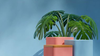 peyzaj canavarı bitkisinde, 3D şablon modelleme ahşap desenli, pembe ve mavi podyum