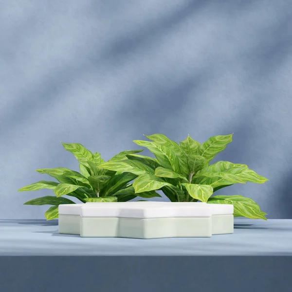 blank space white and mint green podium in square green aglaonema and blue wall, 3d image render