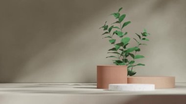 boş beyaz ve kahverengi silindir podyumlar. Dikensiz gölgeli animasyon yeşil bitki ve duvar, 3D görüntüler oluşturur.