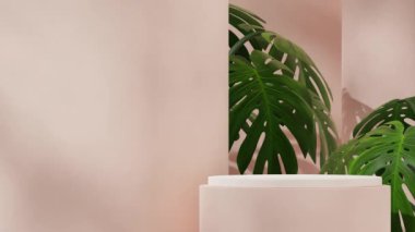 3D görüntüler, açık pembe ve beyaz yuvarlak silindir podyum, kusursuz gölge animasyon döngüsü Monstera deliciosa ev bitkisi ile donatılmış.