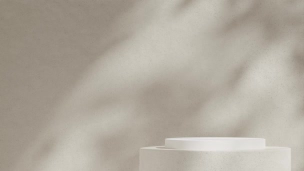 3D镜头将白色和陶瓷纹理圆柱形讲台的空白模型渲染成带自然纹理墙无缝的阴影动画 — 图库视频影像