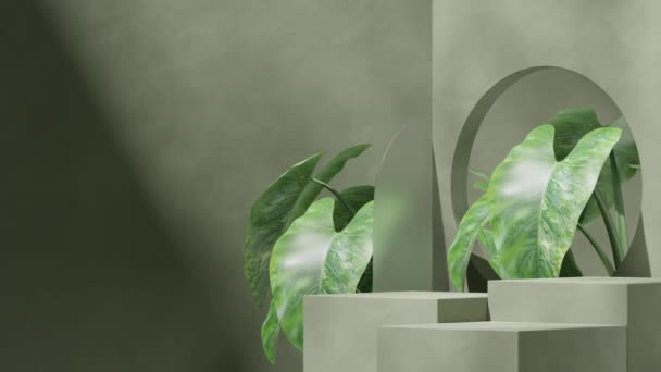 空空间绿色彩色方块平台 带有环状无缝阴影动画拱门和紫杉木植物 3D视频渲染 — 图库视频影像