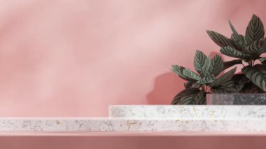 boş sahne siyah ve beyaz mermer mermer podyum, döngüsüz gölgeli animasyon dua eden bitki ve pembe duvar, 3D görüntü