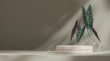 Doğal terrazzo podyum döngüsünün 3 boyutlu görüntü oluşturma şablonu alocasia bitkisi yeşil duvarlı kusursuz gölge animasyonu