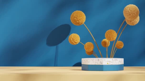 Sarı Mimoza Mavi Duvar Görüntülerde Boş Sahne Mermeri Mavi Podyum — Stok video