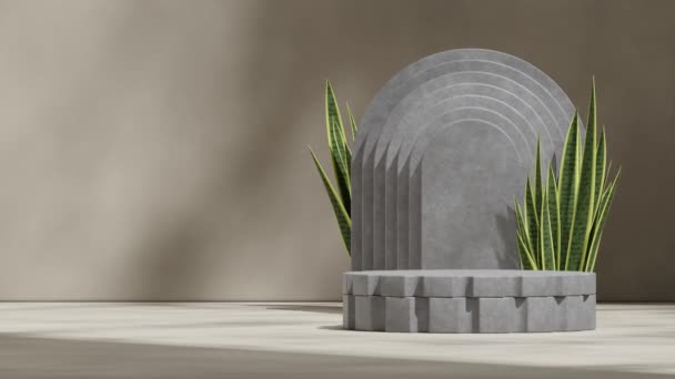 空白のモックアップコンクリートテクスチャ表面シームレスな影アニメーションループの3D映像をレンダリングするコンクリートアーチとサンゼビア — ストック動画