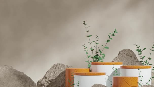 緑の植物と茶色の岩でシームレスな影のアニメーションをループ 3Dビデオレンダリング 白と木製シリンダー表彰台のテンプレートモックアップ — ストック動画